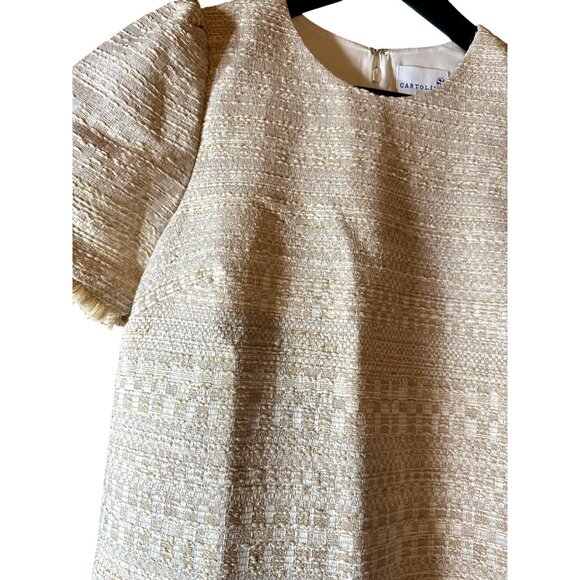 Cartolina Womens Short-Sleeve Tweed Shift Dress Beige Size 6 - Picture 6 of 11